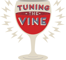 2014-11-27_tuning_the_vinex279