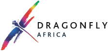 2015-10-20_dragonfly_logo